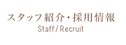 スタッフ紹介・採用情報